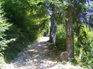 DSCF0971