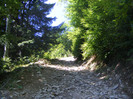 DSCF0972