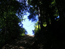 DSCF0973
