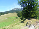 DSCF0982