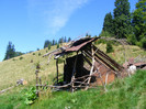DSCF0993