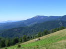 DSCF0995