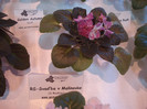 expozitie 042