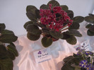 expozitie 048
