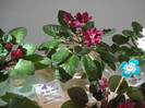 expozitie 064