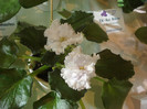 expozitie 065