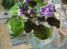 expozitie 066