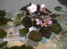 expozitie 078