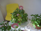expozitie 084