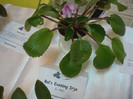 expozitie 094