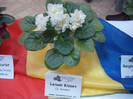 expozitie 112