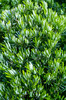 SDIM4544