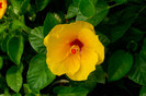 SDIM4588