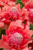 SDIM4595