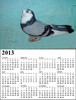 HM11 Big A4 A3 Calendar 2013  r