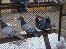 DSCF1214