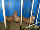 DSCN3137