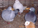 IMG_3192 M 2008,F 2009