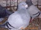 IMG_3194 M 2008