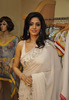 Sridevi kapoor hot in transparent saree (2)