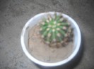DSCN4493