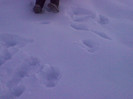 IMG_20121230_153201