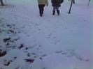 IMG_20121230_153923