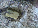 DSC00168