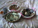 DSC00189