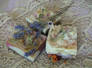 DSC00237