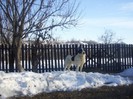 Picture 001