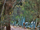 IN PARC"LA ROCA"