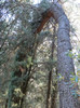 IN PARC"LA ROCA"