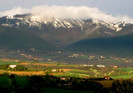 TODI