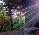 IN PARC"LA ROCA"