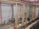 Picture 5285