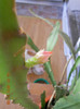 DSCN2545