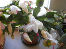 DSCN2536