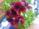 DSC01580