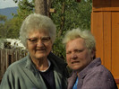 Picture 338