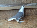 Picture 023