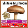 ciuperci medicinale chinezesti shiitake