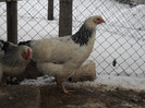 DSCN0321