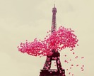 Paris pink baloons