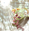 Kirigaya.Suguha.full.1358047