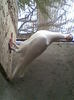Imag011