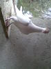 Imag012
