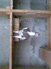 Imag023
