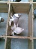 Imag002