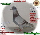 35830467_CVIEWPCIT